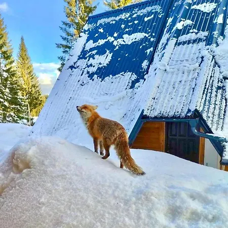 Gorske بيت للعطل ياهورينا
